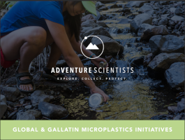 AS 2018 report cover