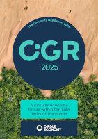 CGR 2025 report cover