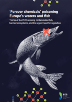 EEB 2025 report cover