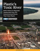 EIP Petrochemical 2024 report cover