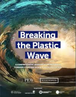 Pew 2020 report cover