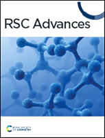 RSC 2025 report cover