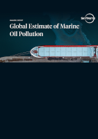 Skytruth 2026 report cover