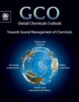UNEP GCO 2013 report cover