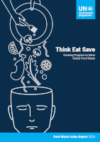 UNEP 2024 report cover