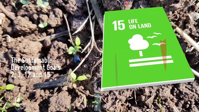 Soil Pollution, a hidden reality poster