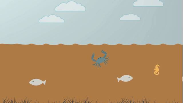 What is Nitrogen Pollution? poster